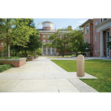 Load image into Gallery viewer, MARSHALL CONT W/O LINER 25G/95L BEIG